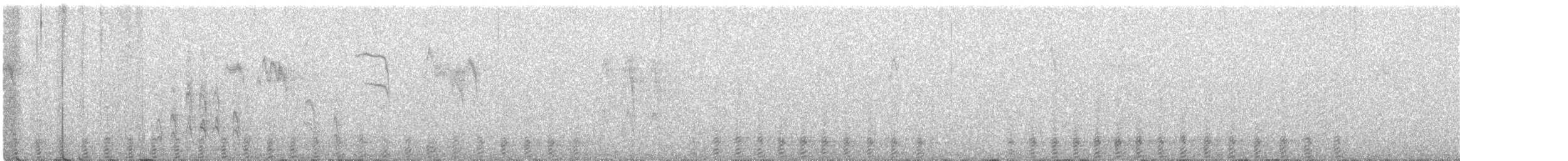 Tétras fuligineux - ML365236551