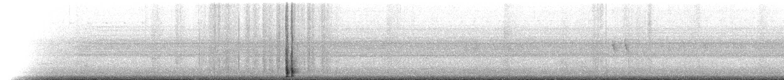 Ночнар соломонський - ML365269841