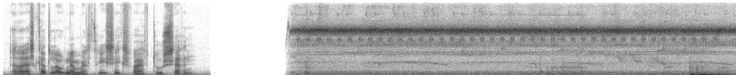 Temminck Çobanaldatanı - ML36527
