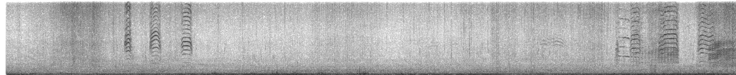 יסעור ורוד-רגל - ML365287161
