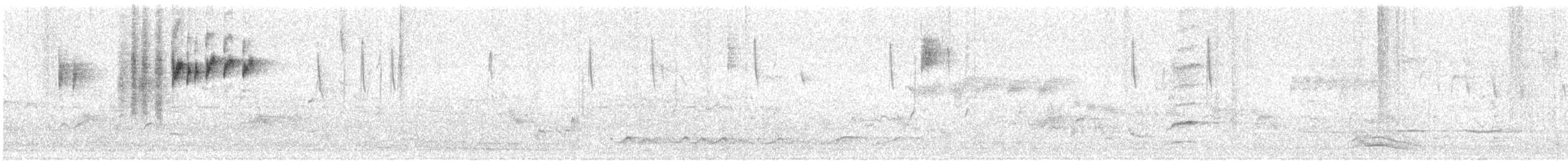 White-browed Scrubwren - ML365381061