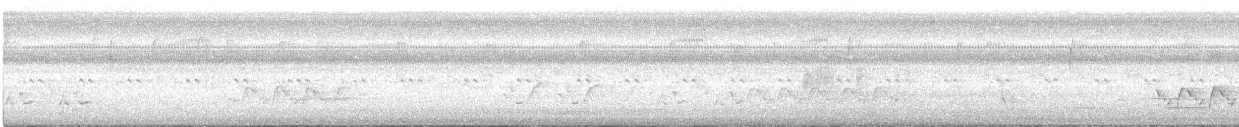 Поплітник каролінський - ML365437841
