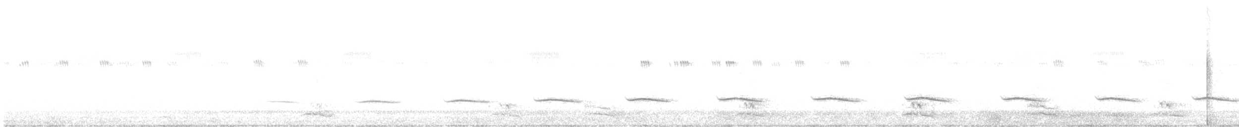 Tinamou sauvageon - ML365475671