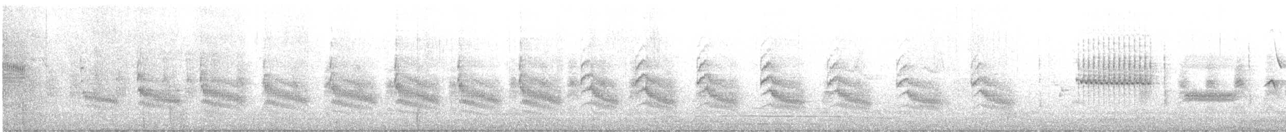 Grass Wren (Paramo) - ML365535351