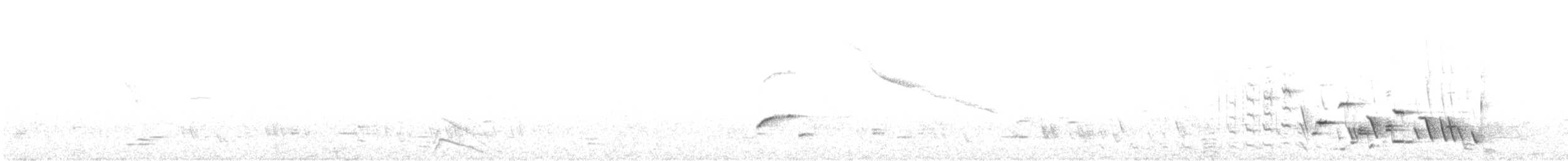 Yeşil-Mor Balkuşu - ML365558321