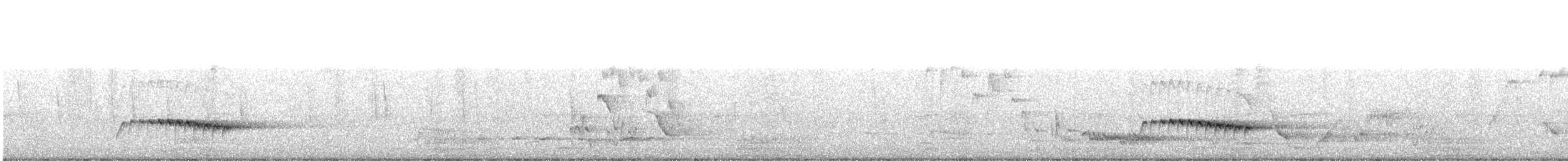ウチワヒメカッコウ - ML365615691