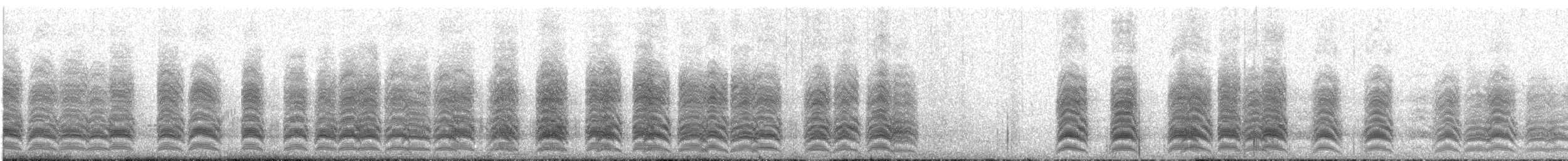 Burrowing Parakeet - ML365646041