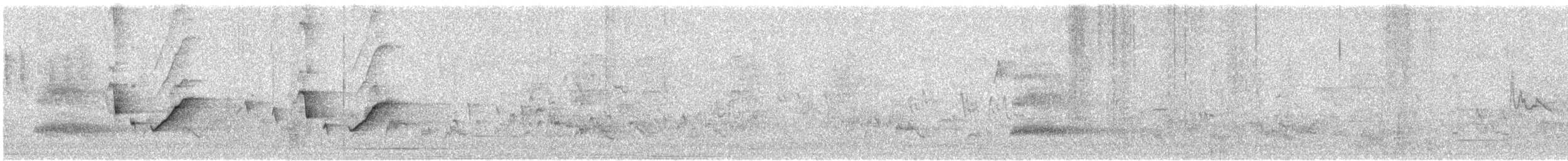 White-plumed Honeyeater - ML365658921