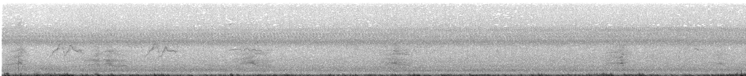 裏海燕鷗 - ML365681191