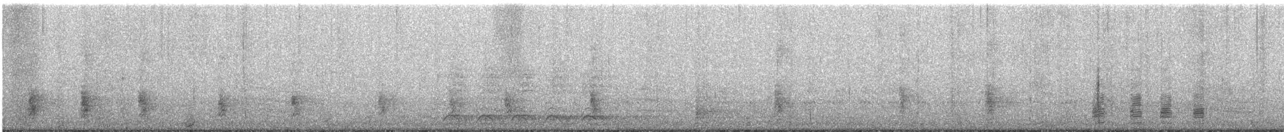 Zanate Común - ML365738801