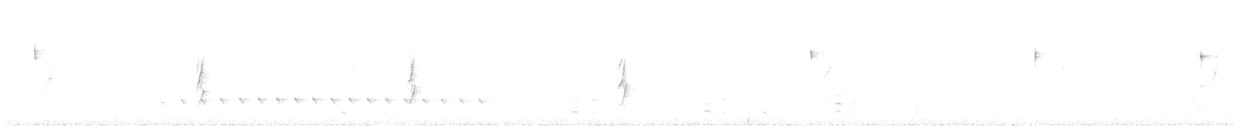 Olivscheitel-Bandvogel - ML365776181