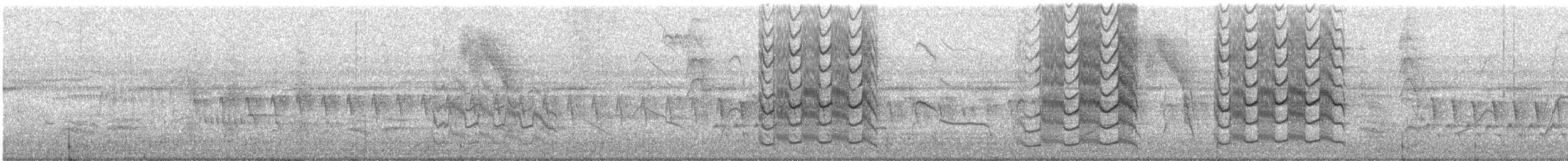 Bienteveo Pitanguá - ML365864461