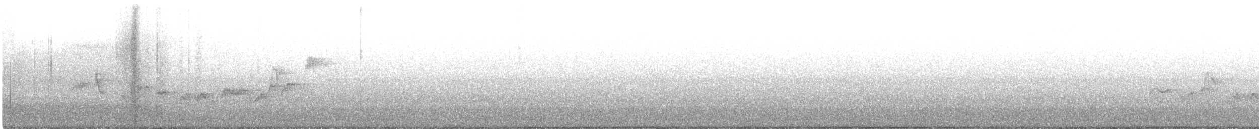 Віреон світлобровий - ML365930721