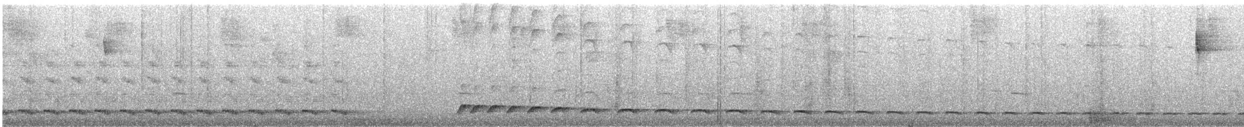 Schwartz's Antthrush - ML365941731