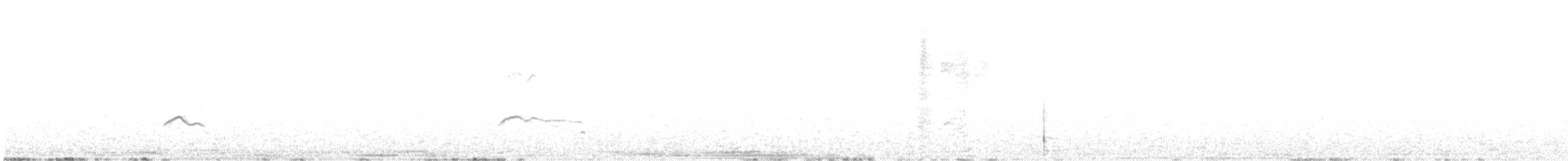 裏海燕鷗 - ML365981151