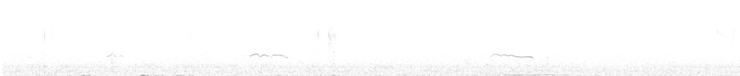裏海燕鷗 - ML365981161