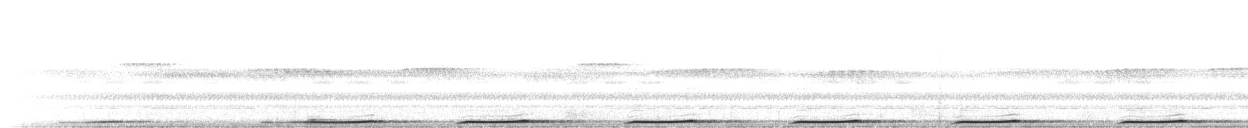 Brown Boobook - ML366012511