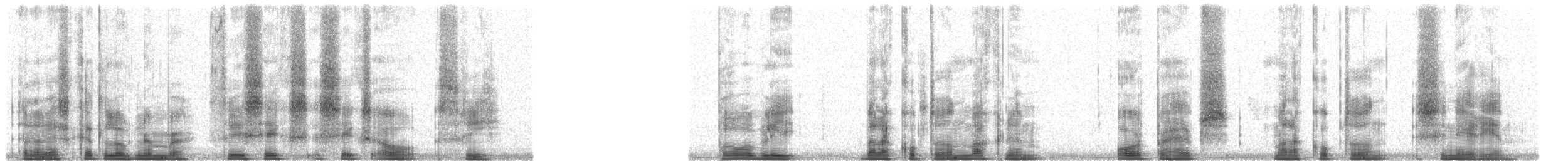 Malacopteron sp. - ML36603