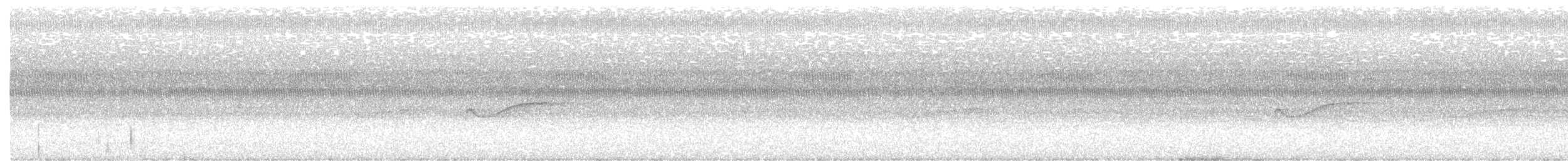 Pioui de l'Est - ML366112491