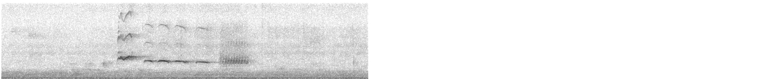 Карликовая кукушка [группа minutillus] - ML366170731