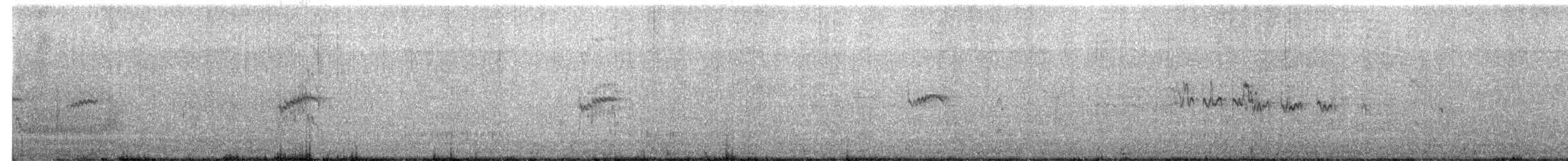 Bécasseau minuscule - ML366176561