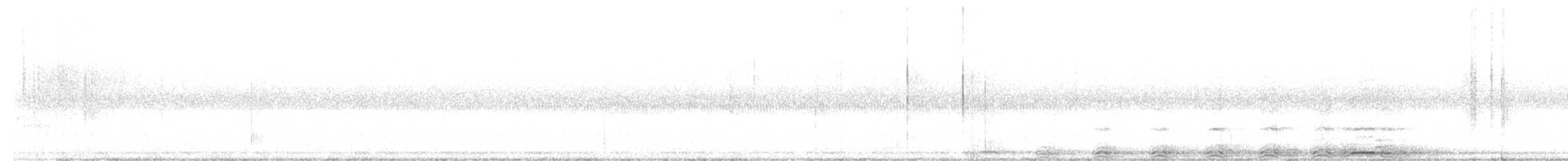 Barred Owl - ML366184411