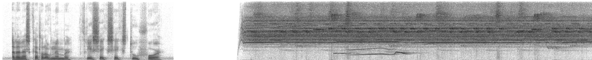 Gould Kocaağzı - ML36624
