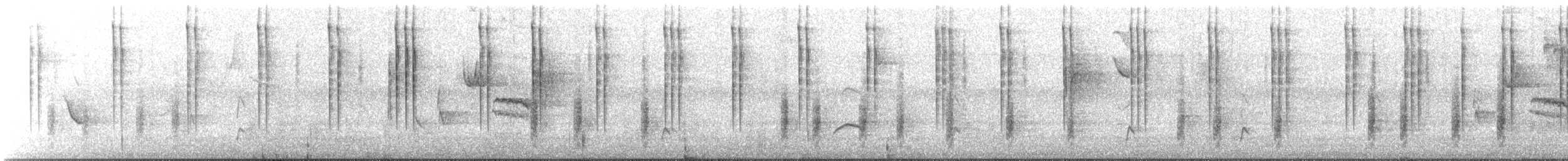 Colibri à oreilles blanches - ML366245681