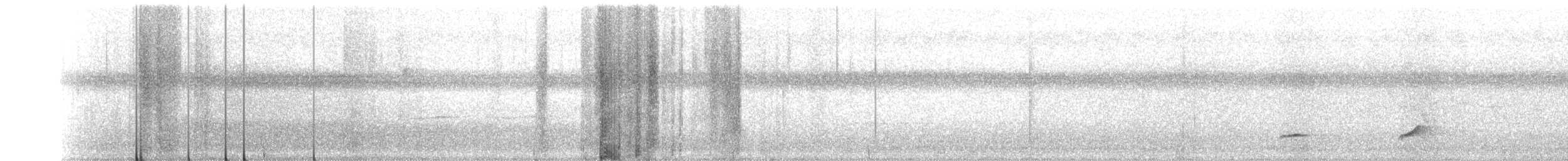 nordkrattvaktel (virginianus gr.) - ML366252481
