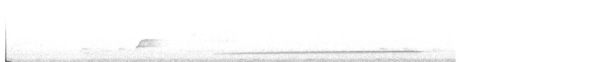 medozvěstka šupinkohrdlá - ML366271401