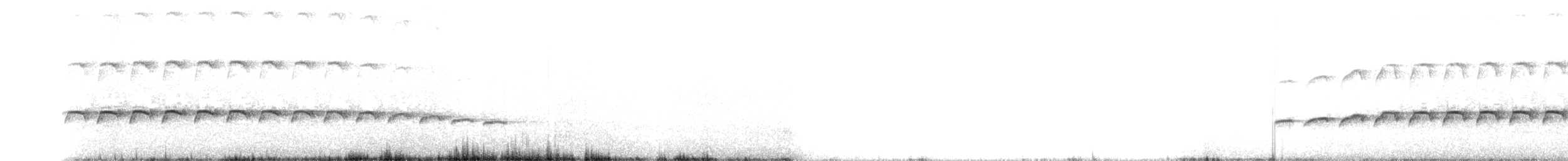 Koca Kuyruklu Karıncaavcısı - ML36632041