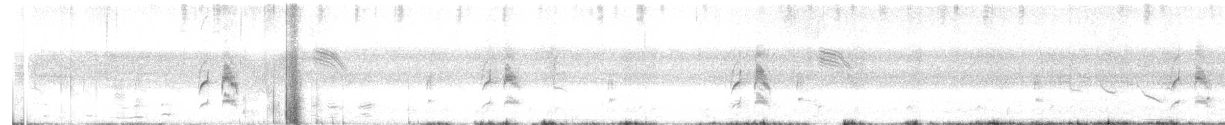 Weißbauch-Dickichtschlüpfer - ML366452541