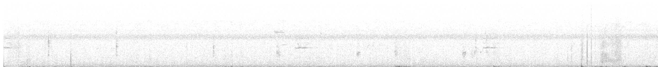 Einsiedelwasserläufer - ML366482661