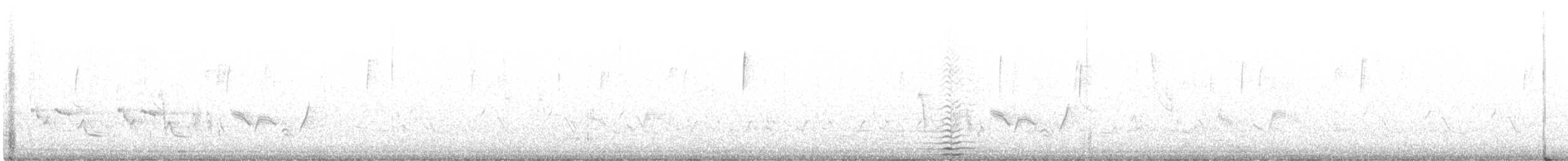 メジロモズモドキ - ML366497931