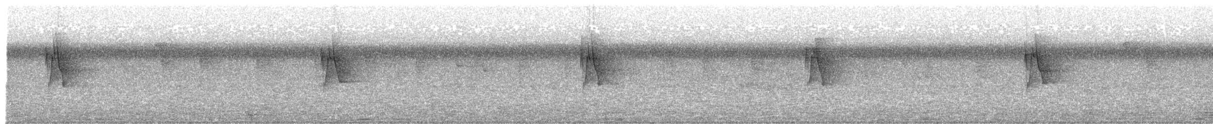 Вівчарик жовточеревий - ML36650751