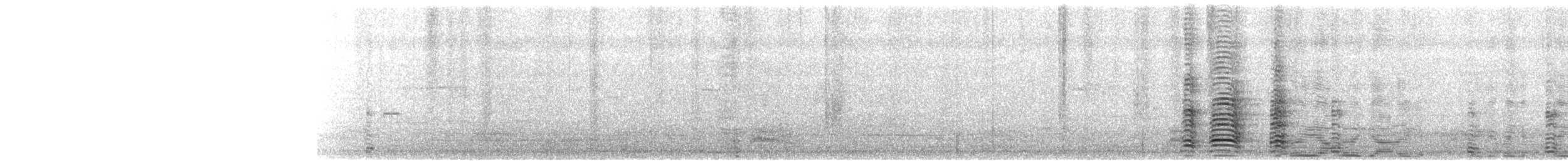 Сула жовтодзьоба - ML366516361