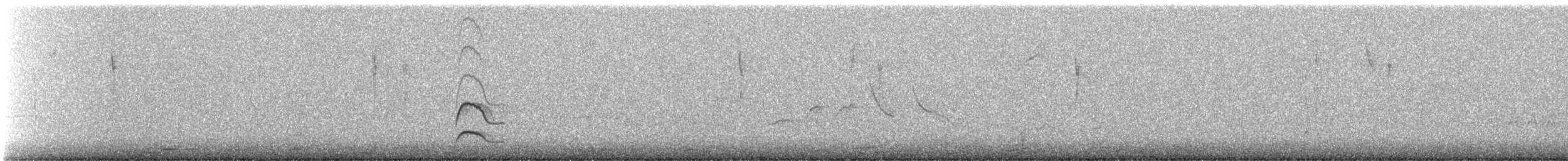 Kaya Sinekkapanı (bellicosa/pallidior) - ML366535751