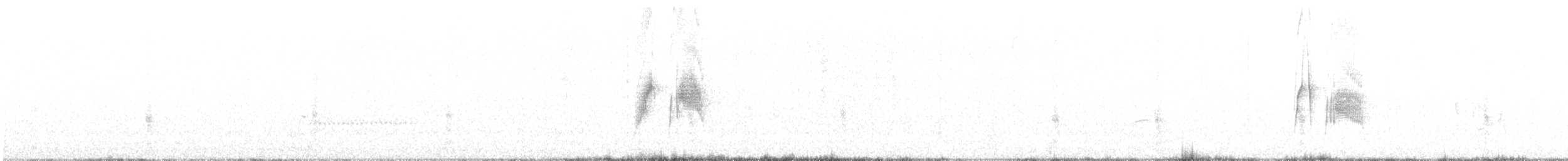 tyranovec vrbový - ML366567001
