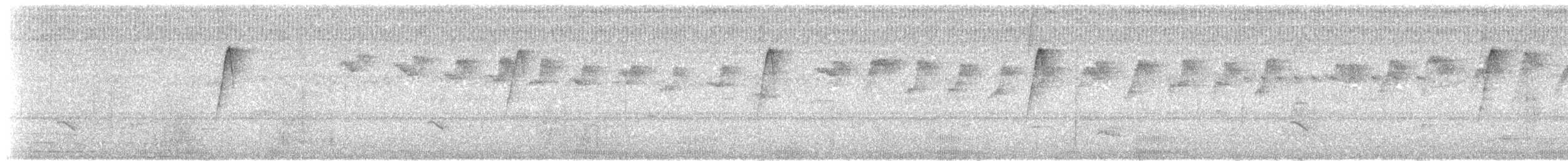 Карликовый колибри-отшельник - ML366746211