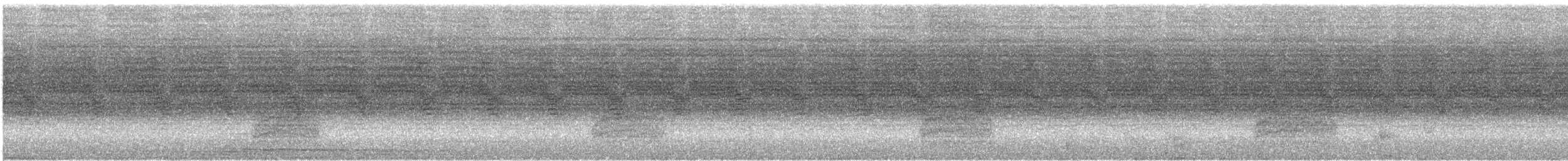 Пересмішник сірий - ML366785681