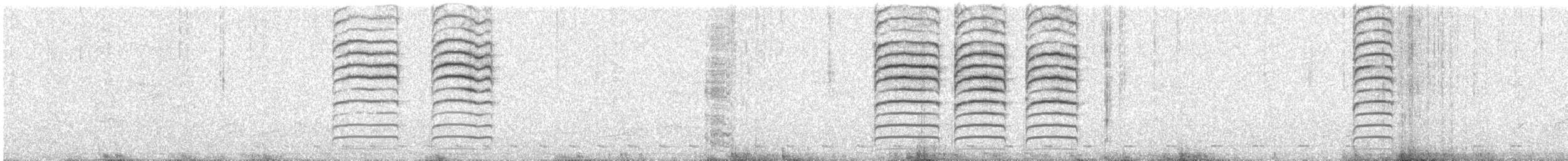 pěnicovec krátkoocasý - ML366899211