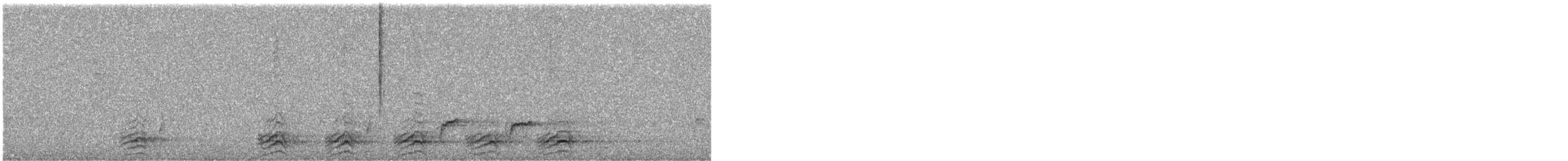 káně černohřbetá (ssp. augur) - ML366910151