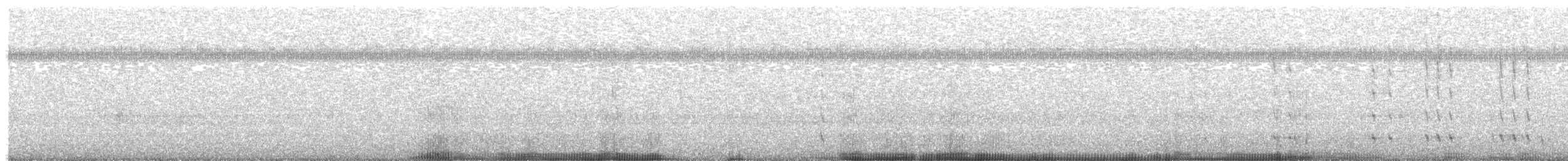 kalypta rubínohrdlá - ML366911911