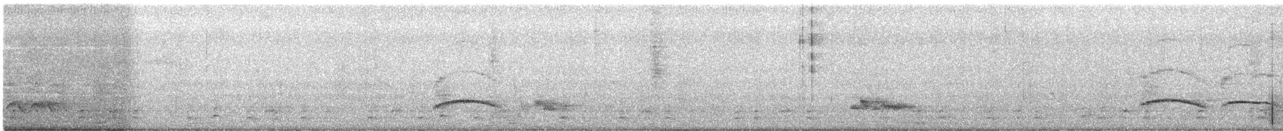 Boz Başlı Sinekkapan - ML366943351