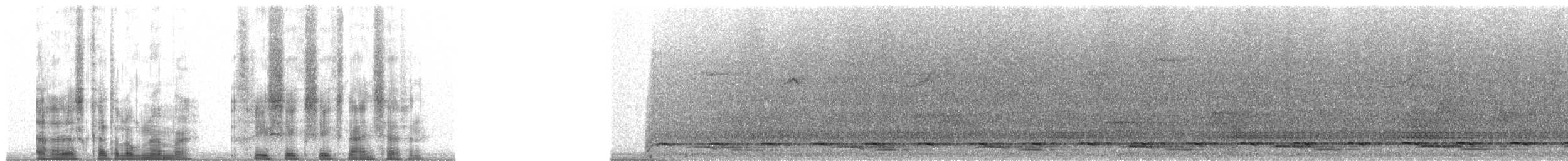 Борнейская лесная куропатка - ML36697
