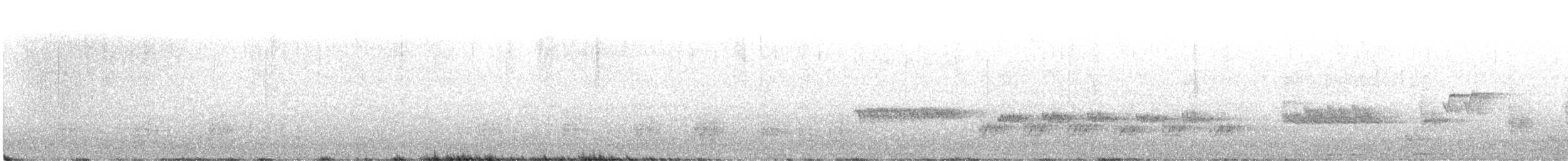 Australian Reed Warbler - ML367040991