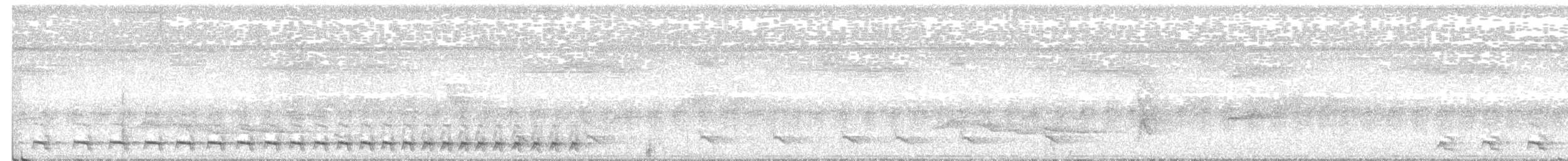 White-tailed Trogon - ML367081101