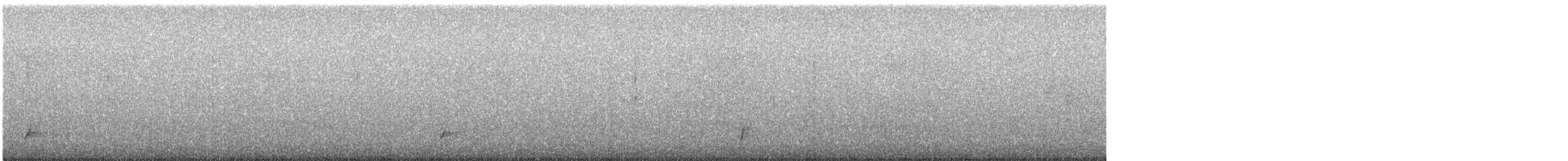 Дрізд-короткодзьоб Cвенсона - ML367089701
