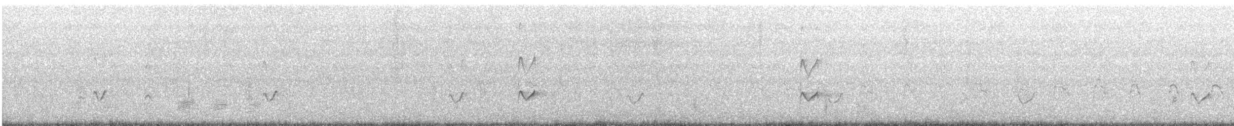 Archibebe Oscuro - ML367117131