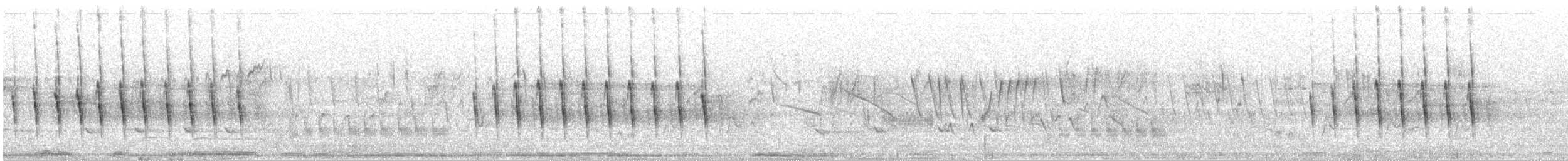 Tinamou élégant - ML367153301